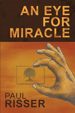 bigCover of the book An Eye for Miracle by 