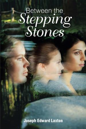 Cover of the book Between the Stepping Stones by Vernon E. Grosvenor