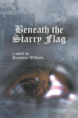 Cover of the book Beneath the Starry Flag by Danny McKinney