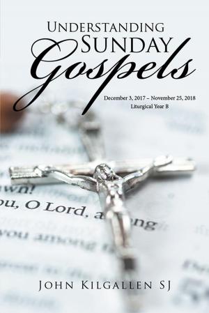 Cover of the book Understanding Sunday Gospels by Rabbi David Rabeeya