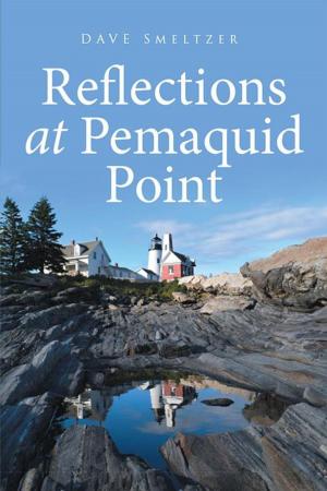 Cover of the book Reflections at Pemaquid Point by Falguni Kothari