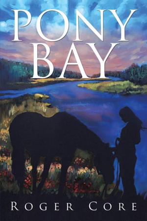 Cover of the book Pony Bay by Amethyst E. Manual