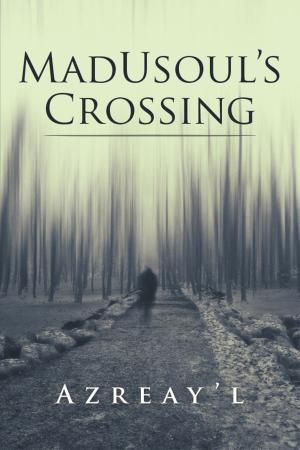 Book cover of Madusoul’S Crossing