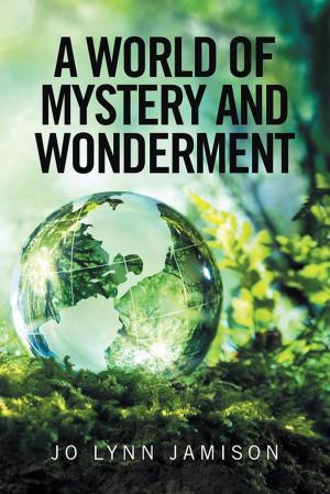 Cover of the book A World of Mystery and Wonderment by Anna Speros