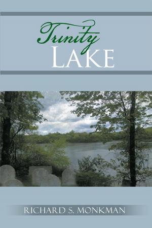 Cover of the book Trinity Lake by José M. Peña
