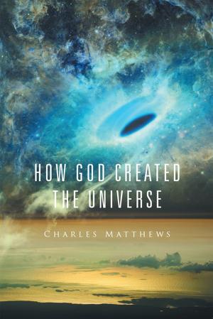 Cover of the book How God Created the Universe by James Gleason