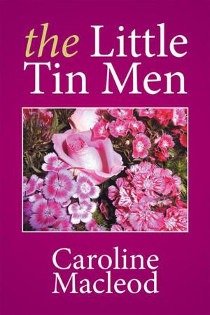 Cover of the book The Little Tin Men by Bobbie Greer
