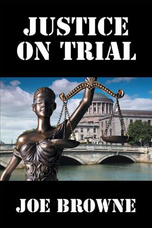 bigCover of the book Justice on Trial by 