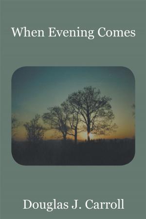 Cover of the book When Evening Comes by David Levister