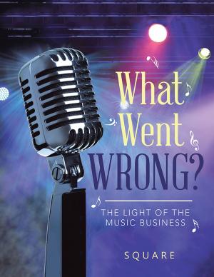 Cover of the book What Went Wrong? by Easy Waters