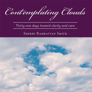 Book cover of Contemplating Clouds