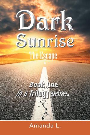 Cover of the book Dark Sunrise by R. Peter Ubtrent