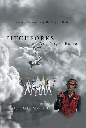 Cover of the book Pitchforks and Negro Babies by Ray Lubeski
