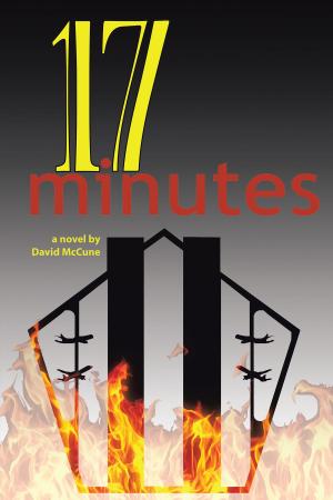 Cover of the book 17 Minutes by Rebecca Tran