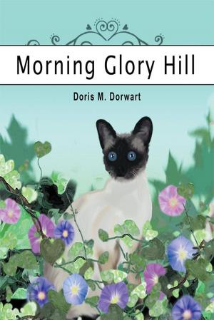 Cover of the book Morning Glory Hill by Adonis Stevenson