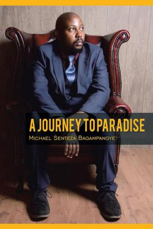Cover of the book A Journey to Paradise by YINKA OLOYEDE