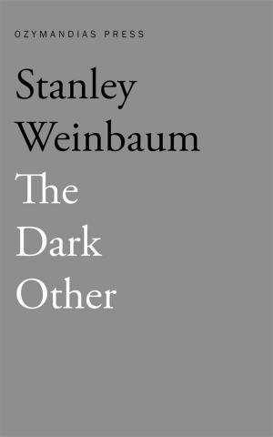 Cover of the book The Dark Other by Quentin Ravensbane