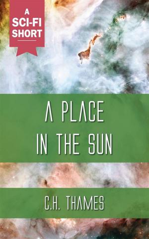 Book cover of A Place in the Sun