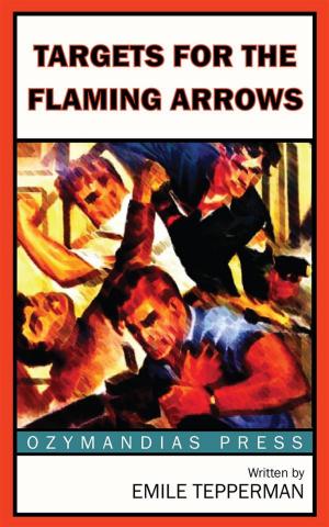 Book cover of Targets for the Flaming Arrows (Suicide Squad)