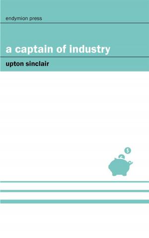 bigCover of the book A Captain of Industry by 