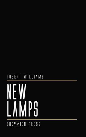 Cover of the book New Lamps by Blaze Ward, Leah Cutter, M. E. Owen, Maquel A. Jacob, M. L. Buchman, Anthea Sharp, Ron Collins, Joel Ewy, Charles Eugene Anderson, Knotted Road Press