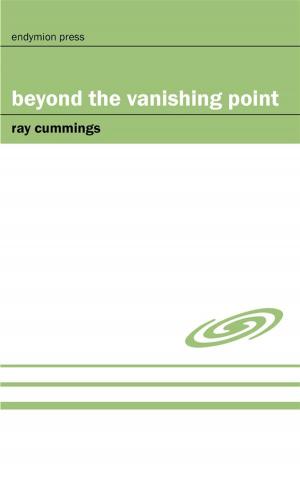 bigCover of the book Beyond the Vanishing Point by 