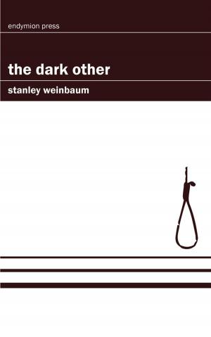 Cover of the book The Dark Other by J. R. Calvo