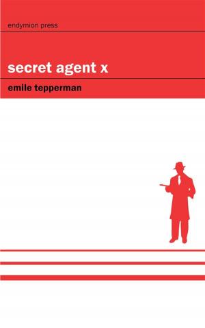 Cover of the book Secret Agent X by Darius Granger