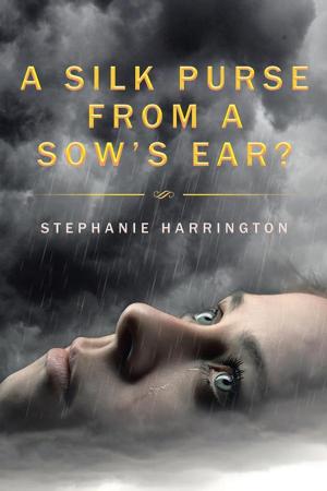 Cover of the book A Silk Purse from a Sow’S Ear? by Nicole M. McGinnis