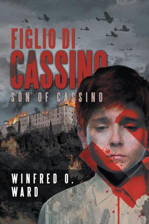 Cover of the book Figlio Di Cassino by John Andes
