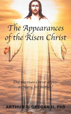 Cover of the book The Appearances of the Risen Christ by Anthony J. lozzi