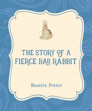Book cover of The Story of a Fierce Bad Rabbit