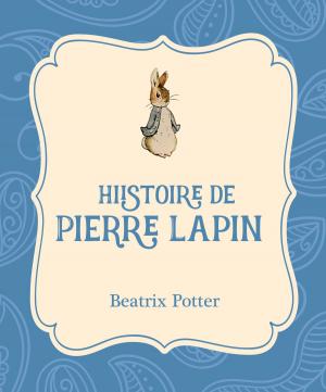 Book cover of Histoire de Pierre Lapin
