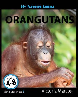 Cover of the book My Favorite Animal: Orangutans by Katrina Streza