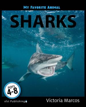 Cover of the book My Favorite Animal: Sharks by Nancy Streza