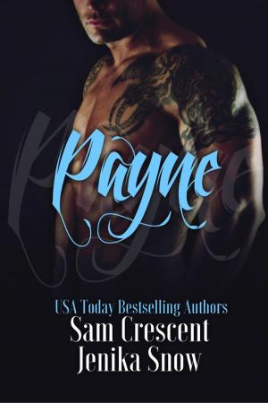 Book cover of Payne