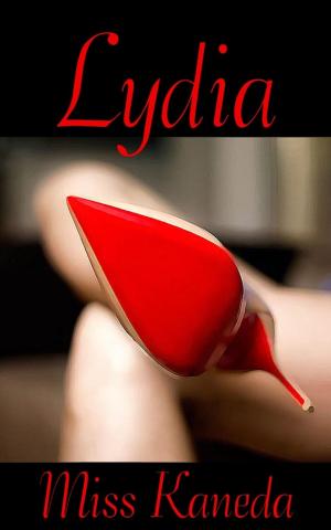 Cover of the book Lydia by Kelsey Charisma