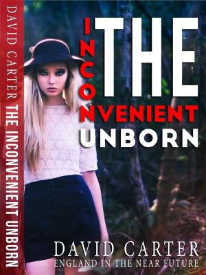 Cover of the book The Inconvenient Unborn by Sabrina A. Eubanks