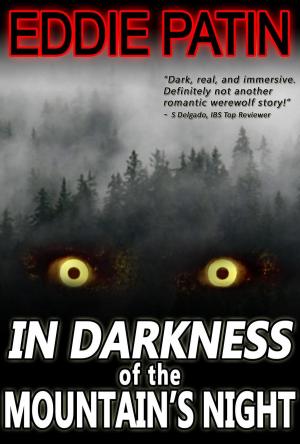 Cover of the book In Darkness of the Mountain's Night by Liza Conover