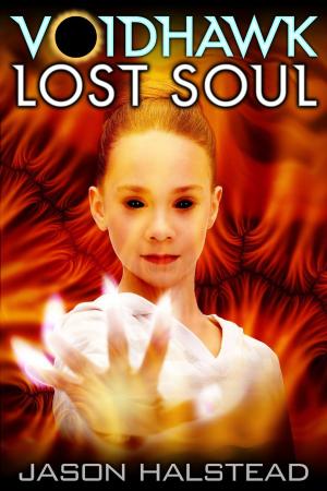 Book cover of Voidhawk - Lost Soul