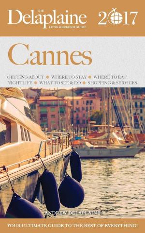 Book cover of Cannes - The Delaplaine 2017 Long Weekend Guide