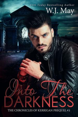 Cover of the book Into the Darkness by Lexy Timms