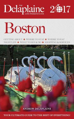 Book cover of Boston - The Delaplaine 2017 Long Weekend Guide