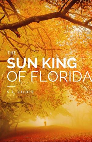 bigCover of the book The Sun King of Florida by 