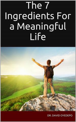 Book cover of The 7 Ingredients For a Meaningful Life