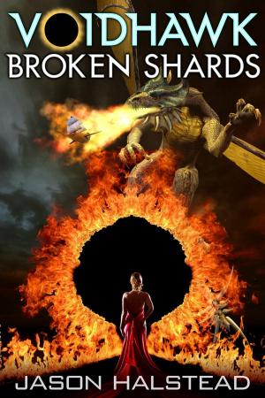 Cover of the book Voidhawk - Broken Shards by Jason Halstead