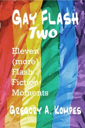 Cover of the book Gay Flash Two by JF Smith