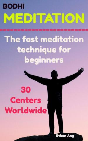 Cover of the book Bodhi Meditation : The Fast Meditation Technique For Beginners by Sue Dumais