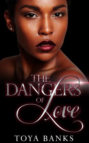 Cover of the book The Dangers Of Love by Kia Summers