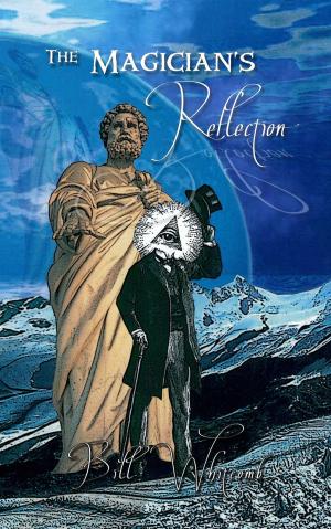Cover of the book The Magician's Reflection by Tanith Lee